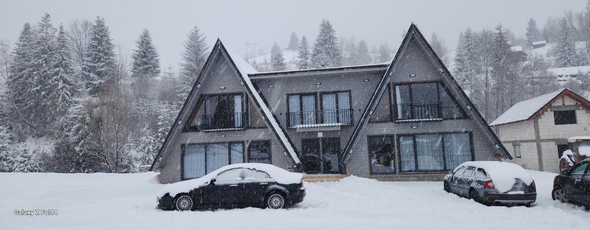 Cabana Din Vale Arieseni Apuseni Extérieur photo