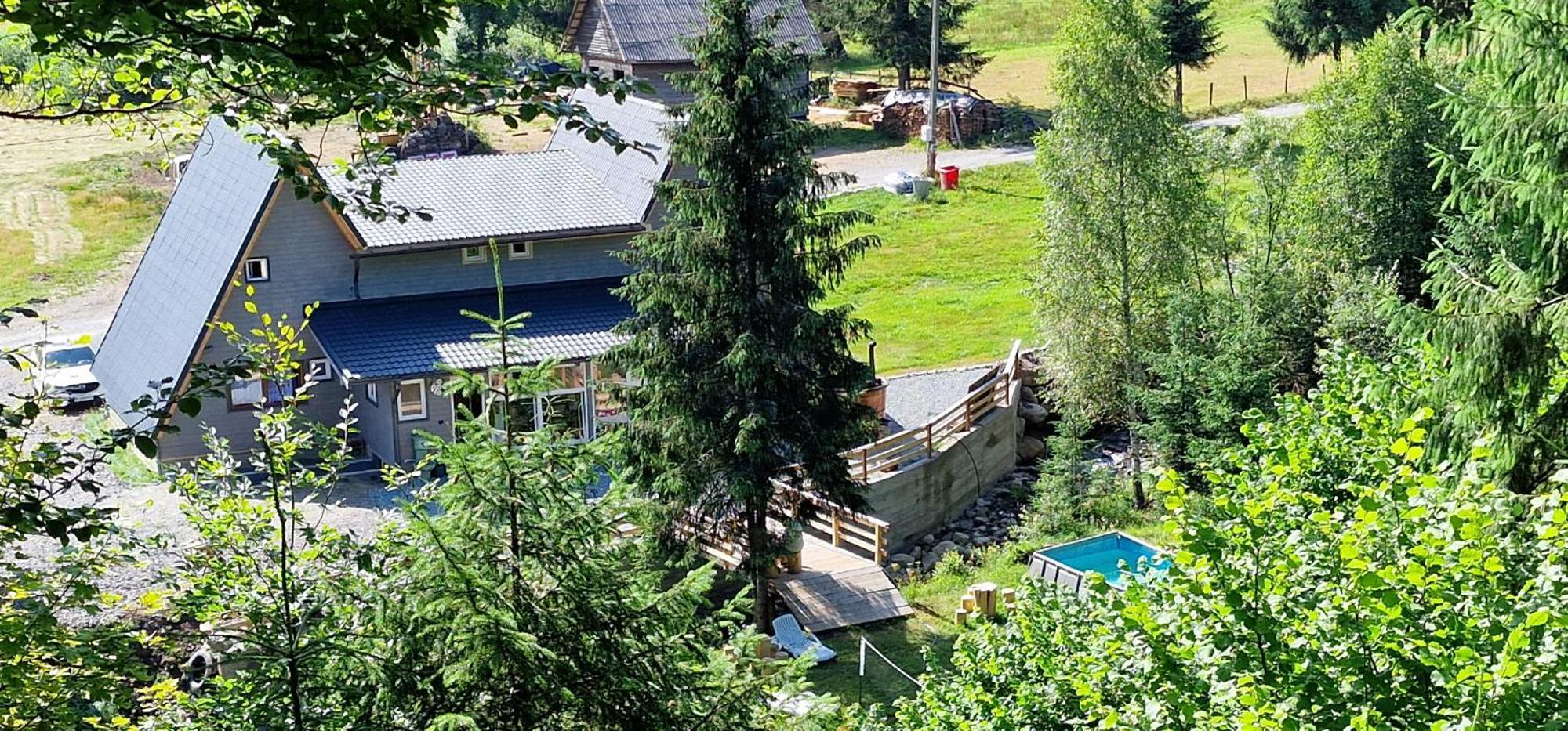 Cabana Din Vale Arieseni Apuseni Extérieur photo